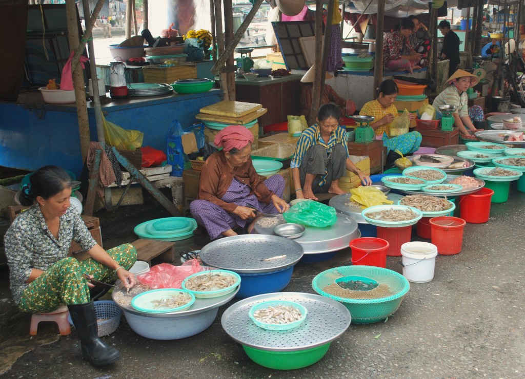 A Cambodian food market along the Mekong.