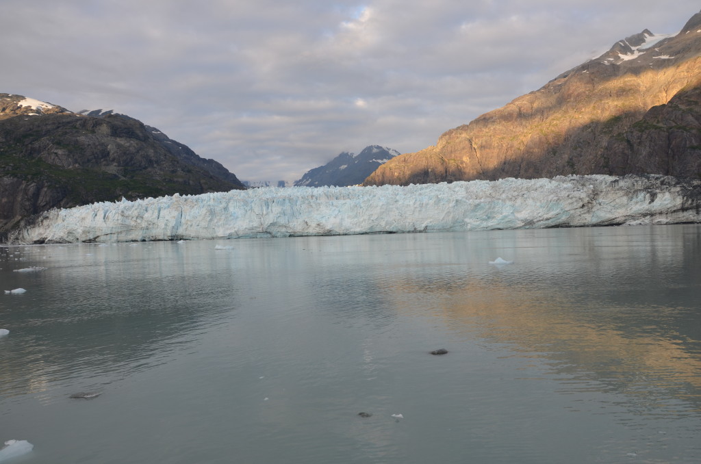 Un-Cruise Adventures often spends a whole day in Glacier Bay seeing ice and animals close up.