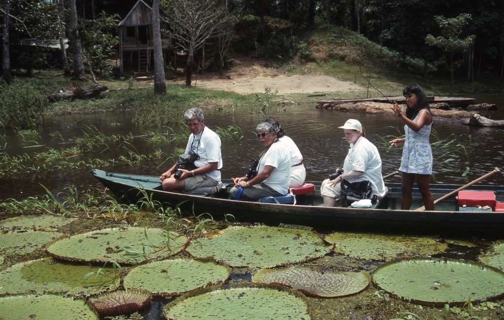 Lily pads along the Amazon.* Photo: Ted Scull