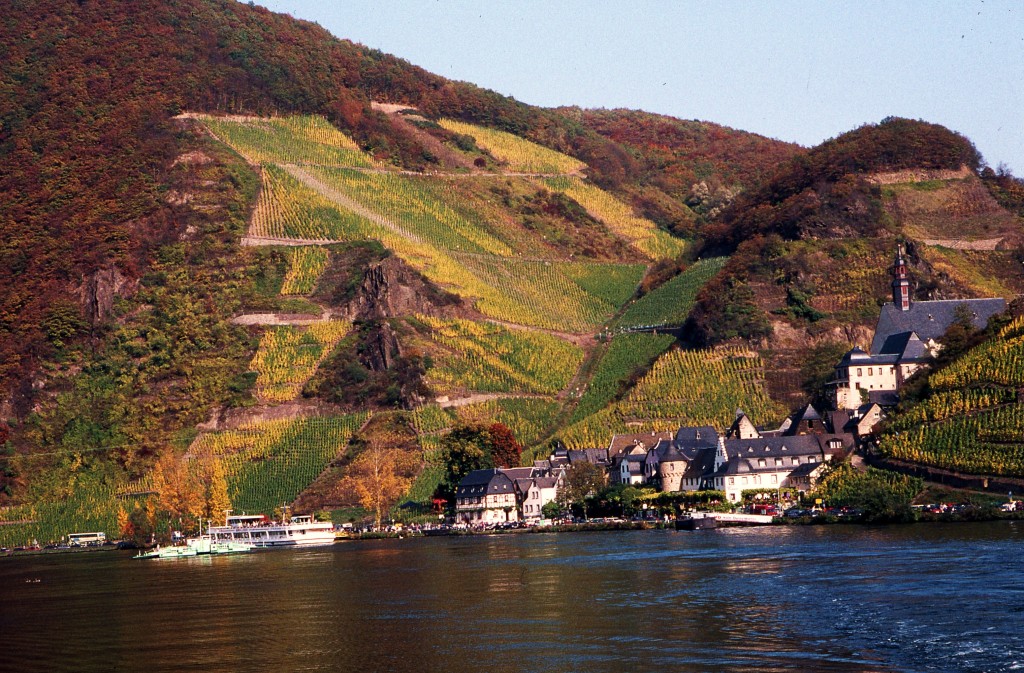 Autumn colors after the grape harvest along the Moselle in Germany. * Photo: Ted Scull