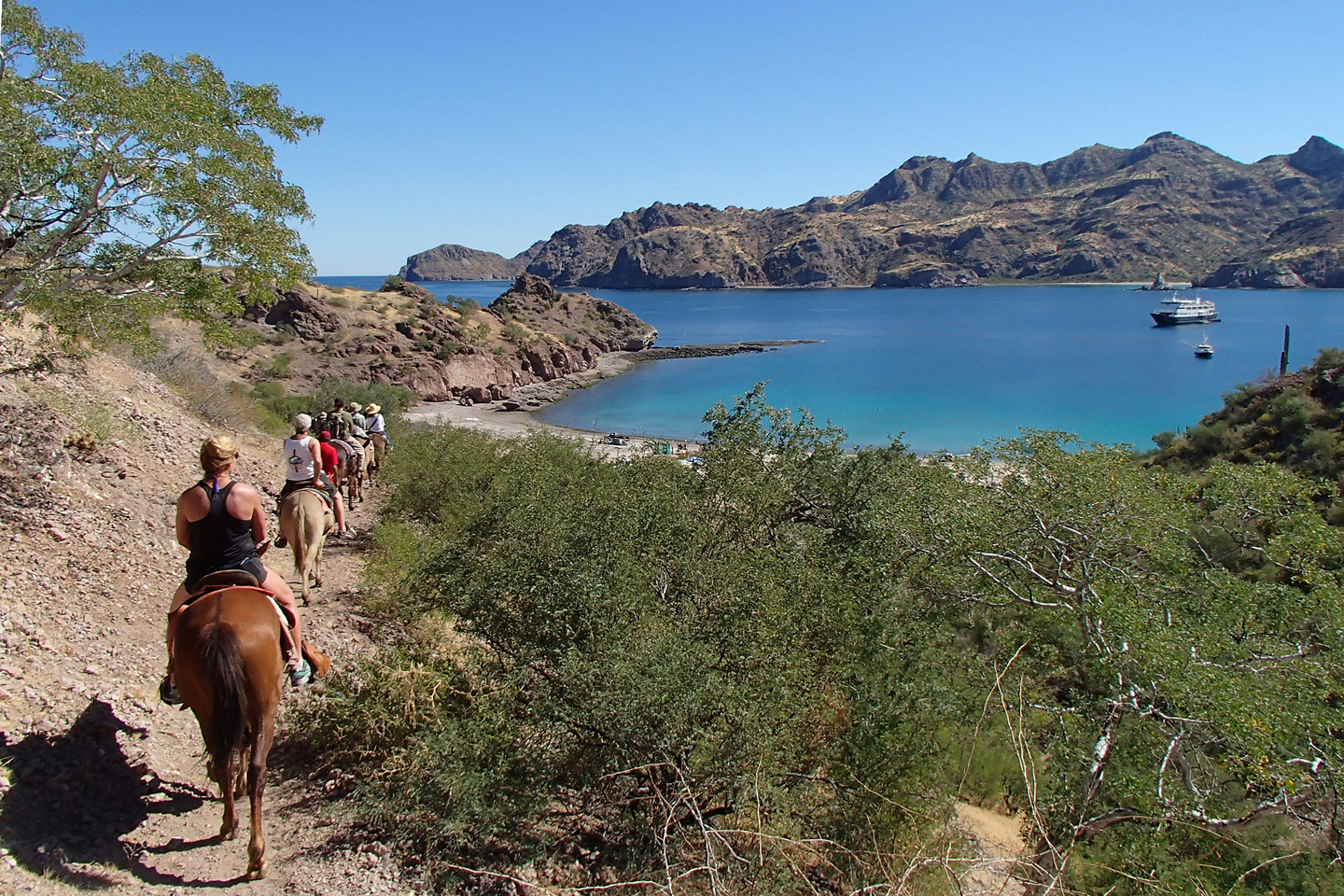 While the Safari Endeavour anchored in beautiful Bahia Agua Verde, passengers enjoyed a burro ride on mountain trails. * Photo: UnCruise Adventures