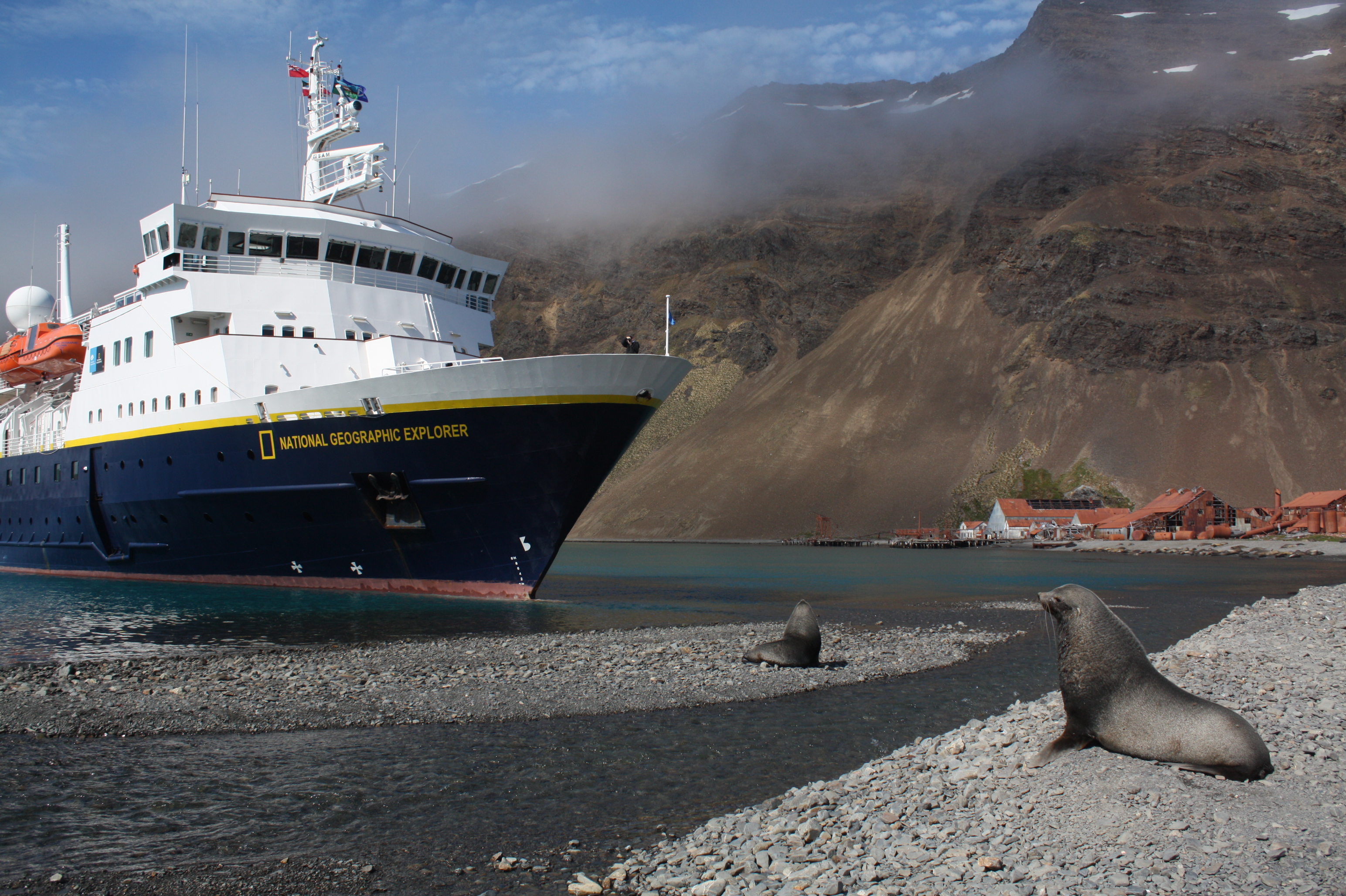 Some cute seals greet the NGEX. Photo: Lindblad Expeditions