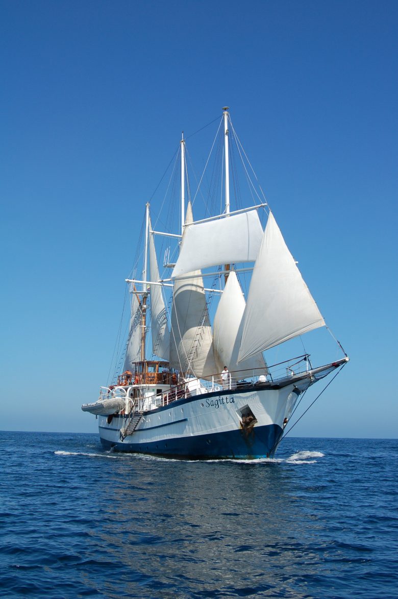 small sail ship cruises