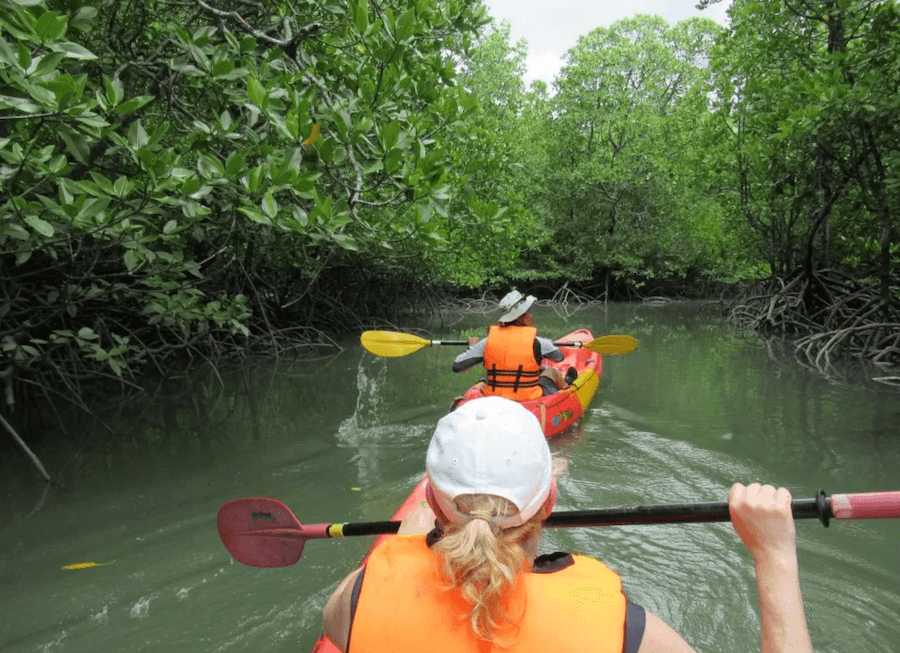 Star Clippers in Thailand including kayaking excursions 