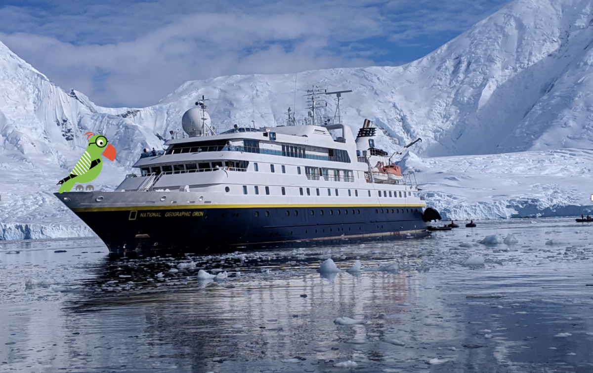 QuirkyCruise Reader Review: NAT GEO ORION in Antarctica (Lindblad) by Anisha M.