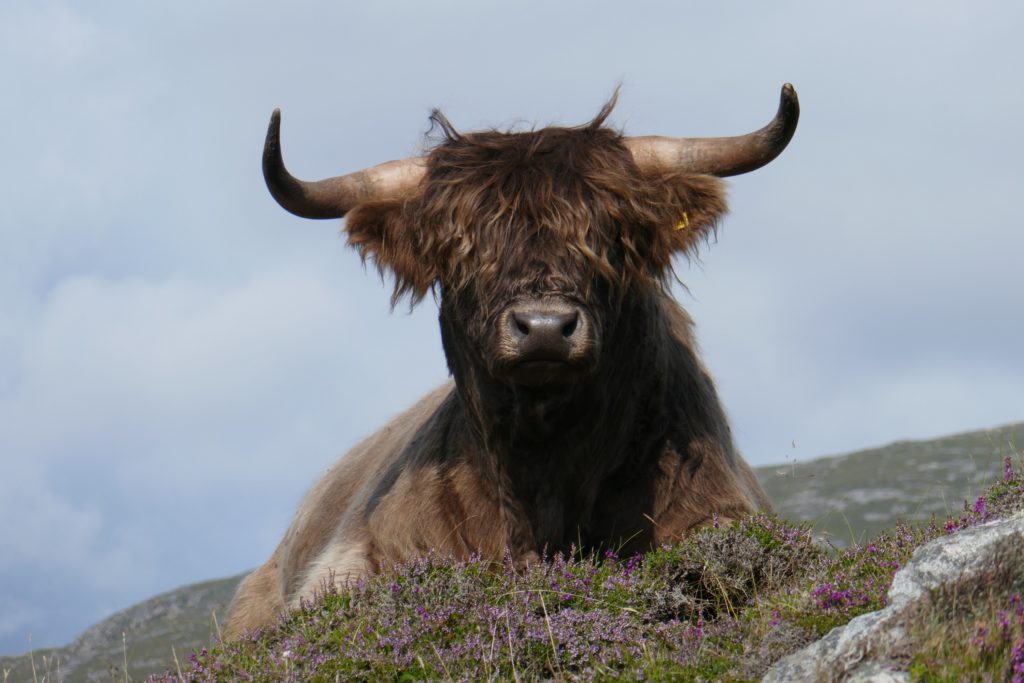 St. Hilda Sea Adventures