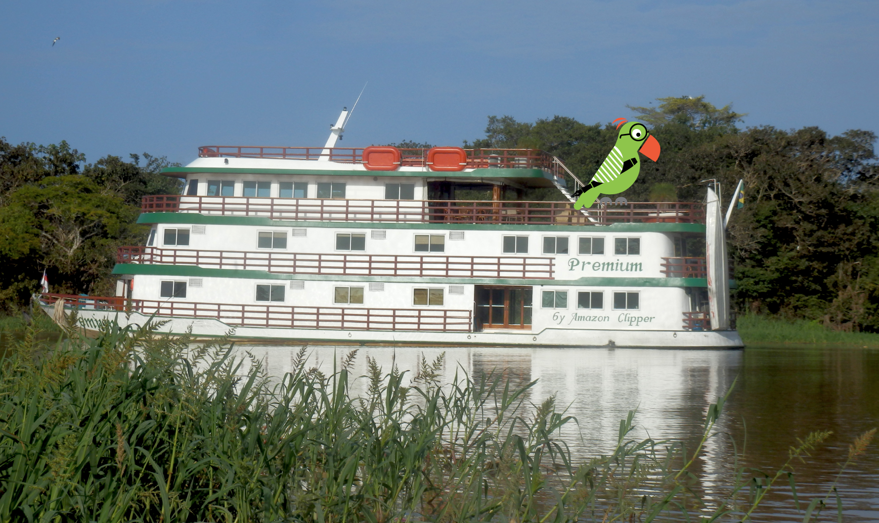 QuirkyCruise Reader Review: Premium on the Amazon River (AMAZON CLIPPER CRUISES)