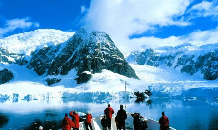 QuirkyCruise News: Antarctica Cruises Are On Ice