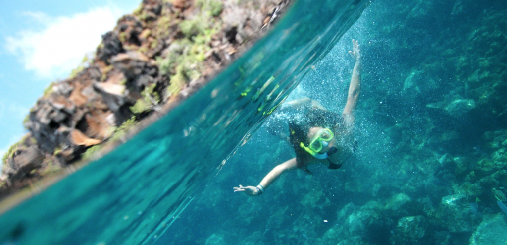Disney Adventures in the Galapagos Islands include snorkeling
