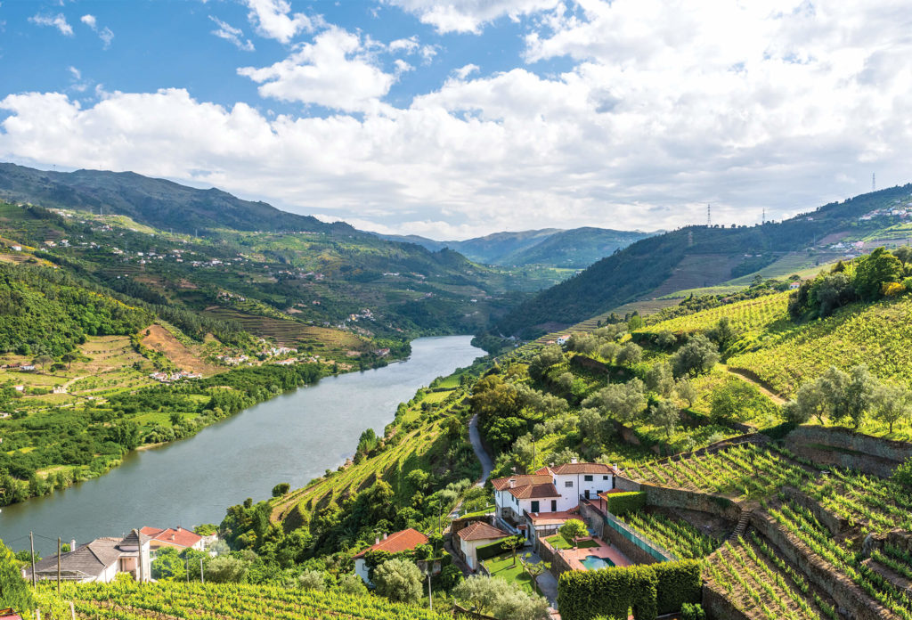 Douro Valley river cruises