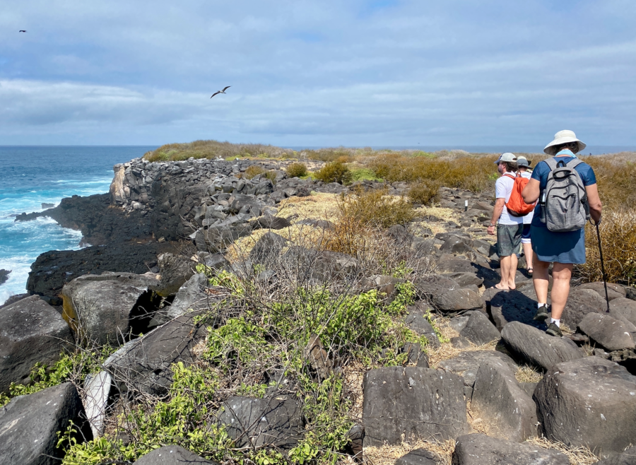 daily hike on an Ecoventura Galapagos cruise