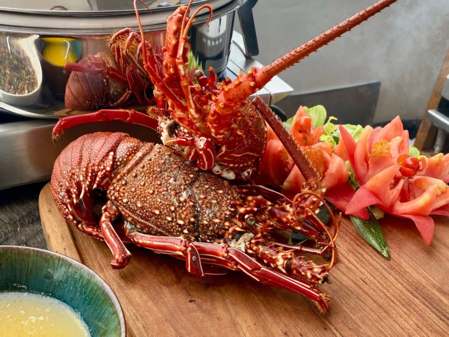 lobster served on Origin in the Galapagos
