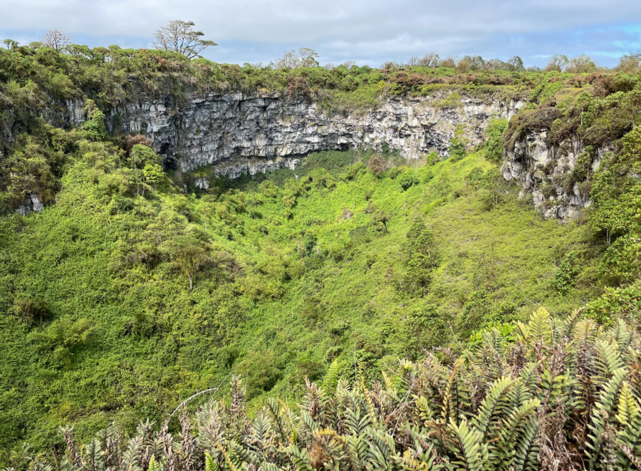 Los Gemelos pit craters in the Galapagos on Santa Cruz
