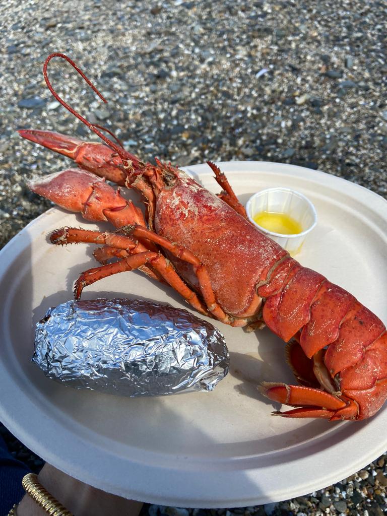 lobster on the beach of a Maine windjammer cruise