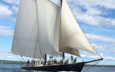 What is a Maine Windjammer?