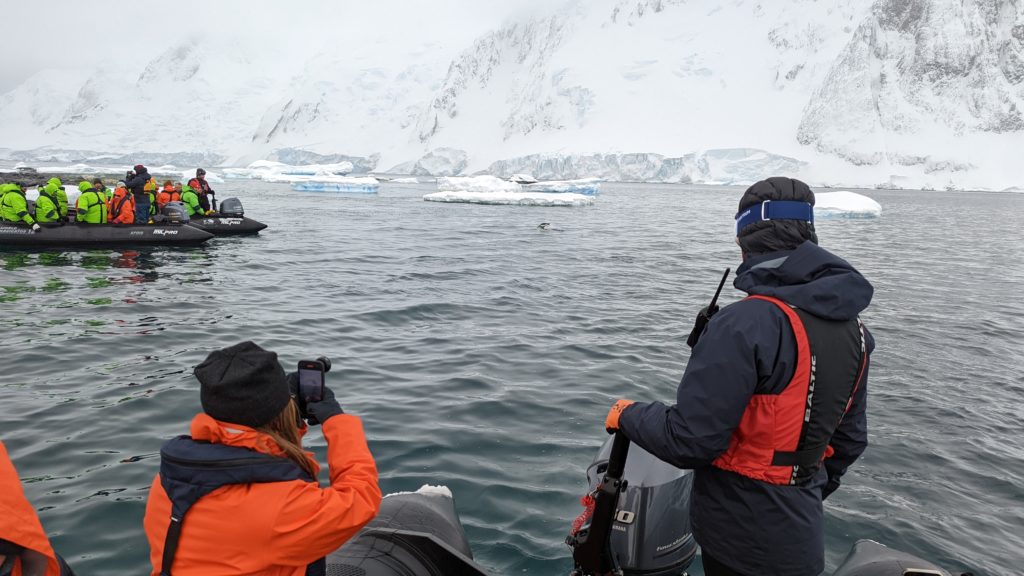 Touring by Zodiac in Antarctica