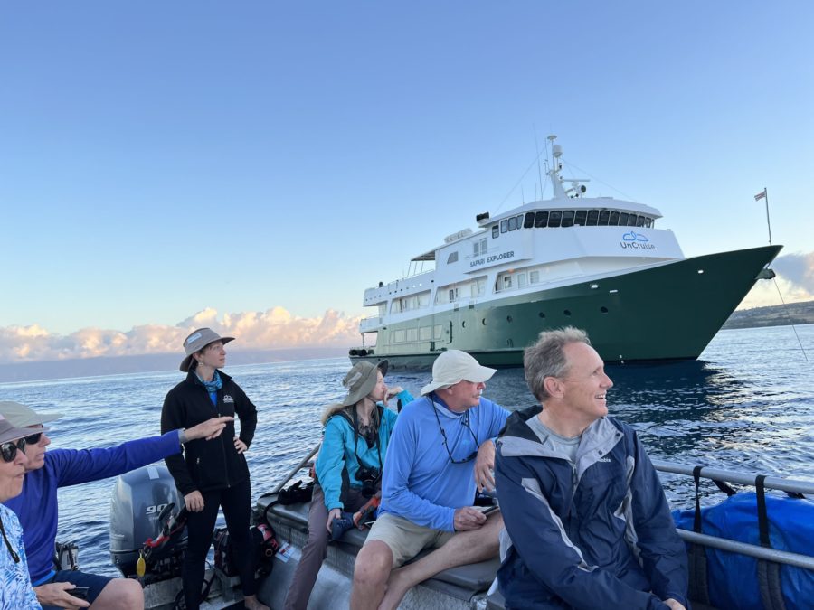 Early morning whale watching skiff tour in Maui