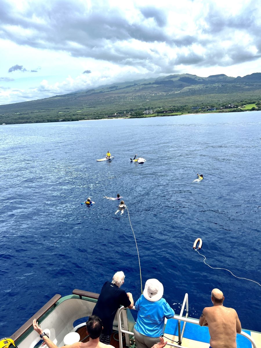 Free swim and paddleboarding at Pu'u Olai, Maui