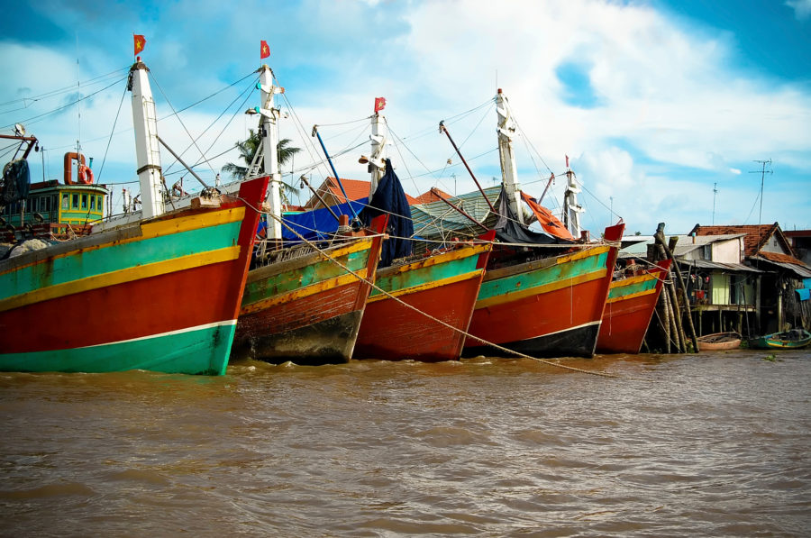 Fishing boats in a Mekong Delta harbour