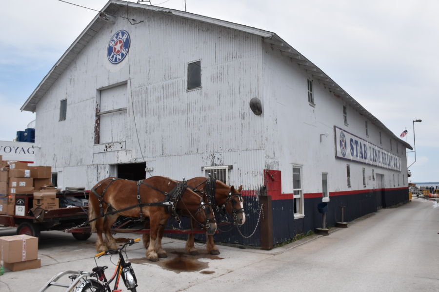 Horses and the Star Line transfer sheds