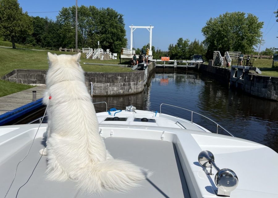 Le Boating on Canada’s Rideau Canal Again — Our Family Houseboat Adventure #2