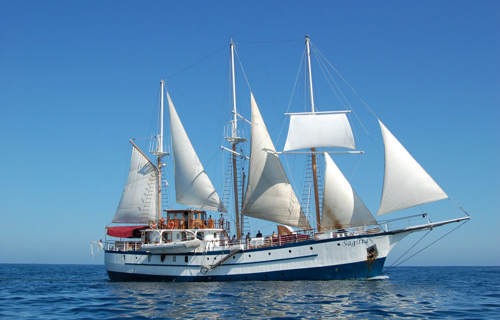 QuirkyCruise Reader Review: SAGITTA in the Caribbean (Island Windjammers) by Philip.
