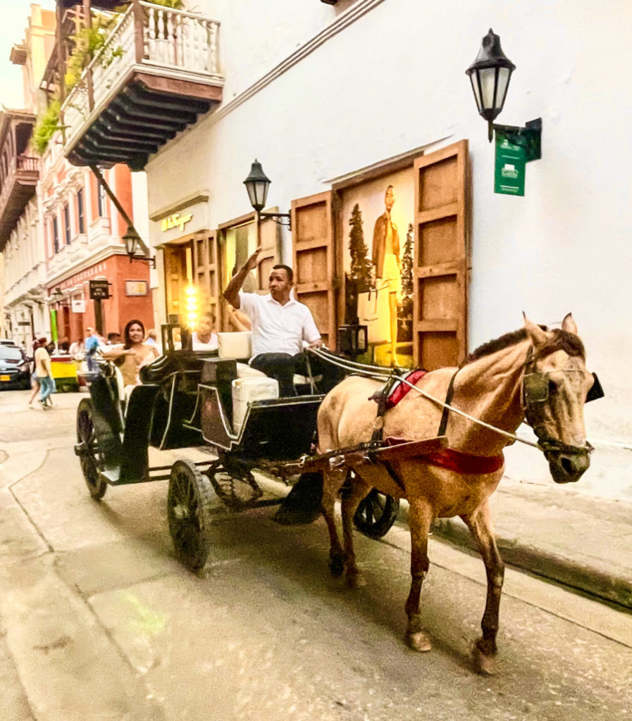 Cartagena de Indias horse carriage tour