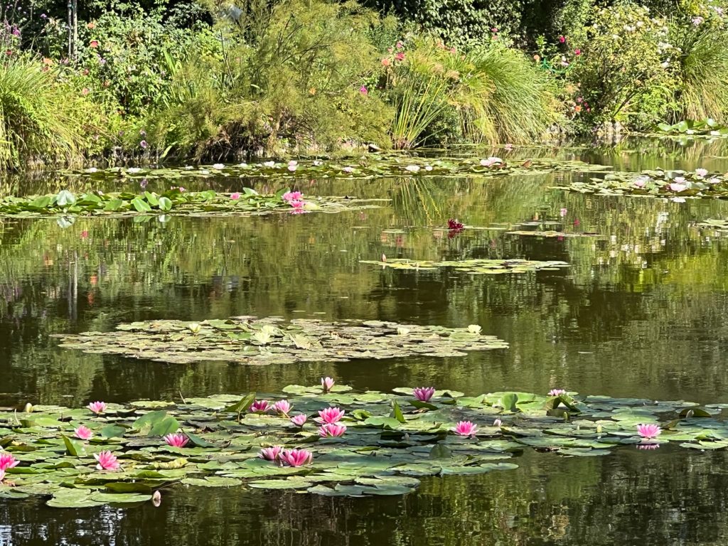 Monet’s water garden inspired his painting