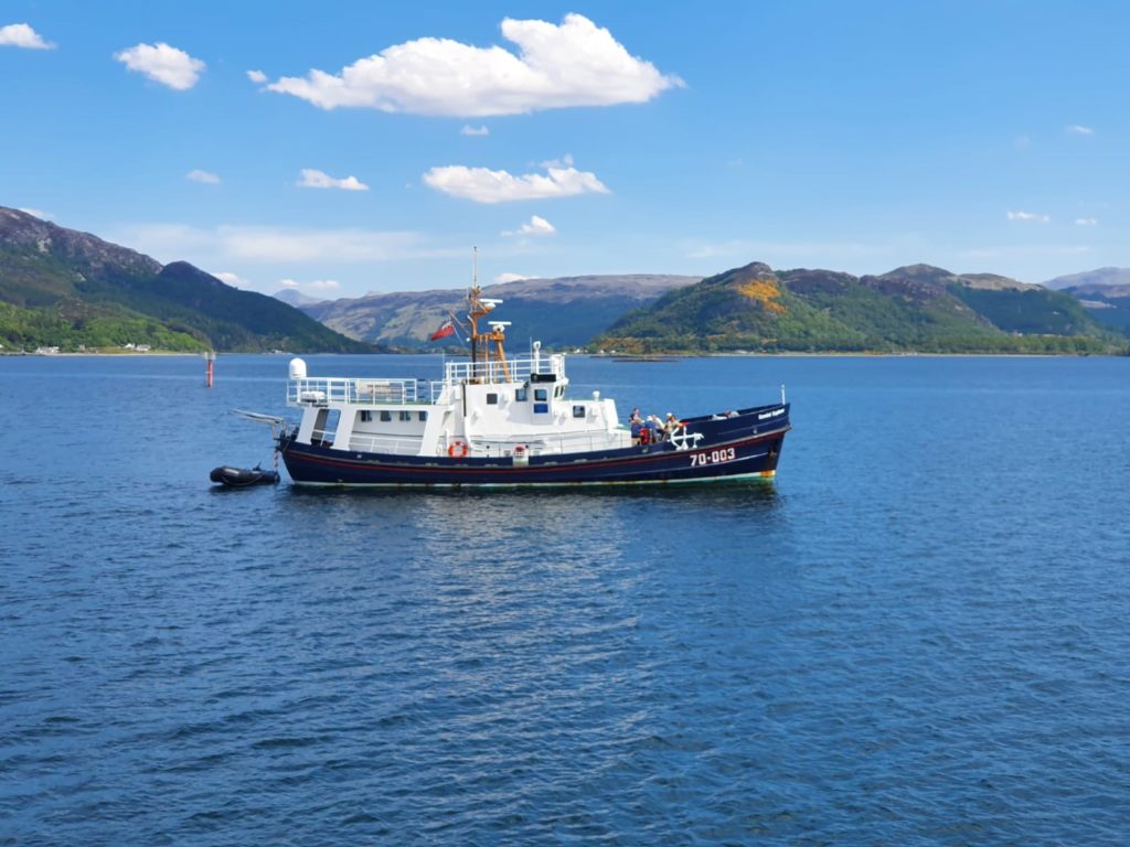 Scottish Wildlife Cruises on the Gemini Explorer and two other ships