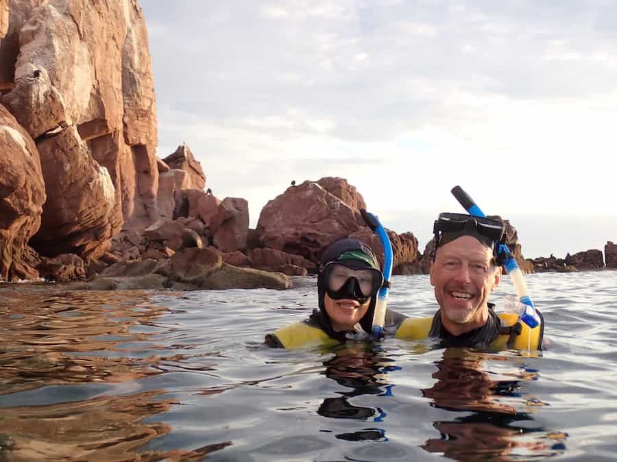 UnCruise Sea of Cortez Adventures — 8 Reasons to Choose a Week on the Wild Side 6 Snorkeling in Los Islotes on a Sea of Cortez cruise