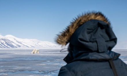 Arctic Secret Atlas Cruises — Offering Micro Cruises for Just 12 Passengers