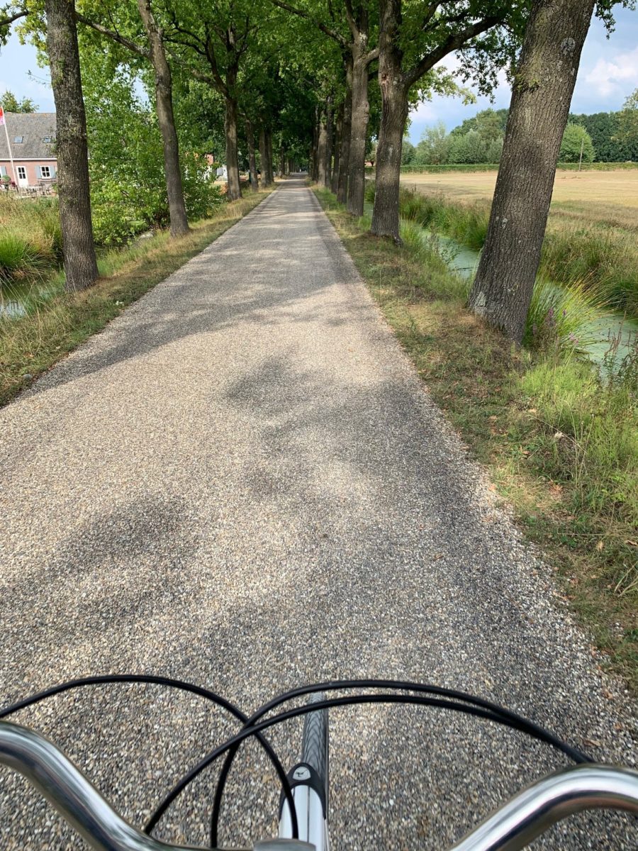 Cycling along on a Netherlands River Cruise