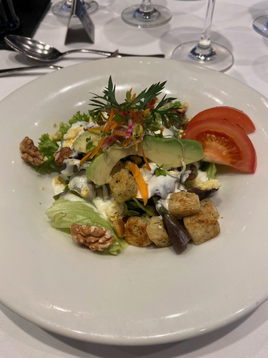 salad on a Netherlands river cruise