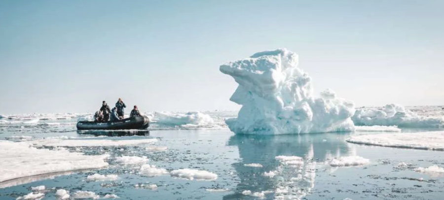 Seeing the Arctic on a Zodiac