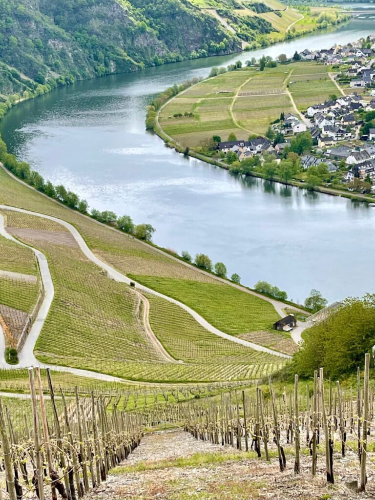 Terraced vineyards along the Moselle River on a Scenic Opal River cruise