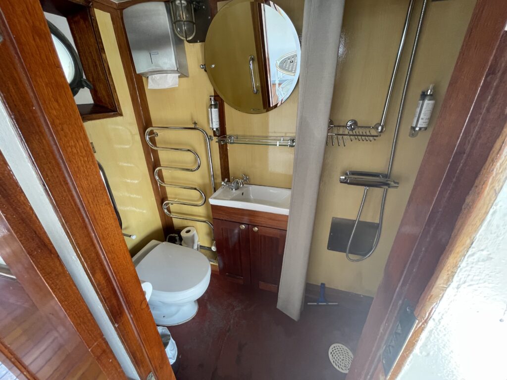 MS Diana Bridge Deck bathroom, with toilet and shower