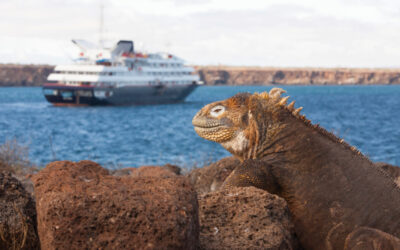 International Galápagos Tour Operators Association (IGTOA) Calls to Limit Galápagos Land Tourism Following UNESCO Alarm