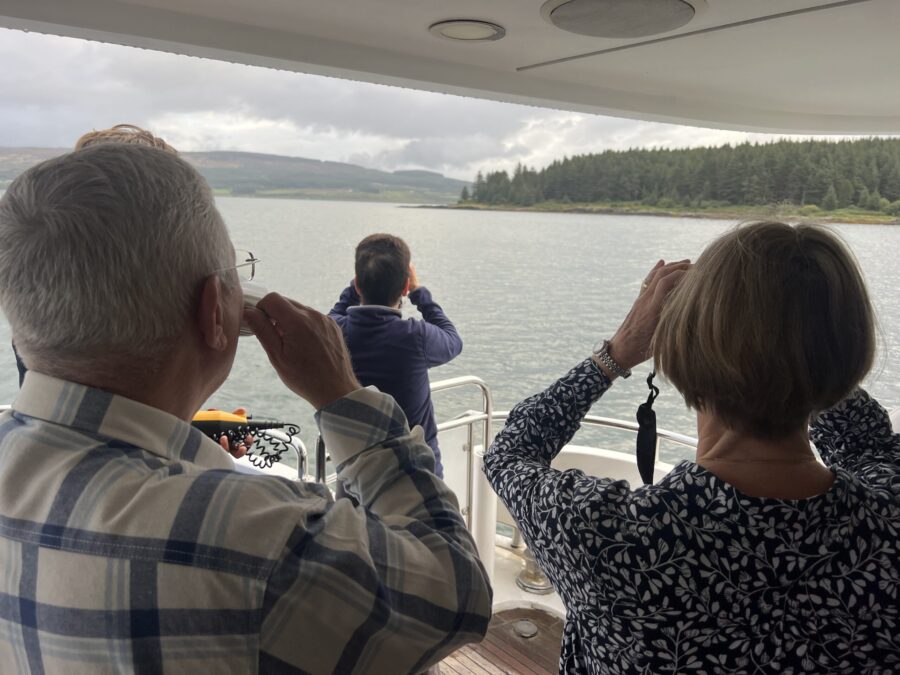 Watching sea eagles off Mull on a Lucy Mary cruise