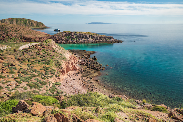 Baja California cruises show you this coastline