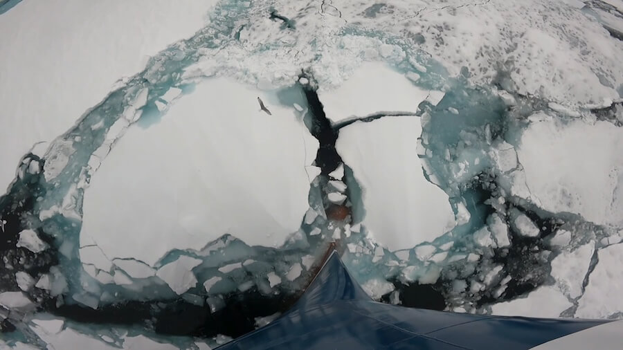 SH Diana's breaks the ice on an Arctic Cruise Around Svalbard