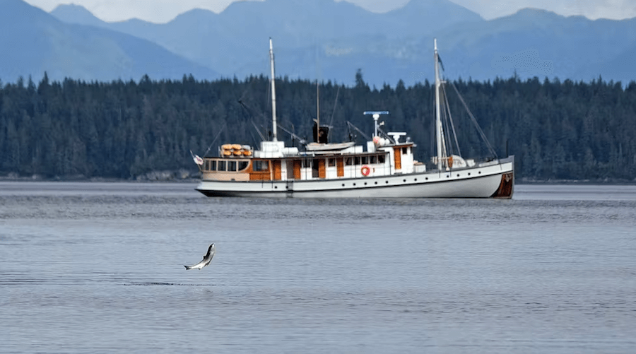 Alaska Small Ship Cruises include the Westward of Pacific Catalyst II