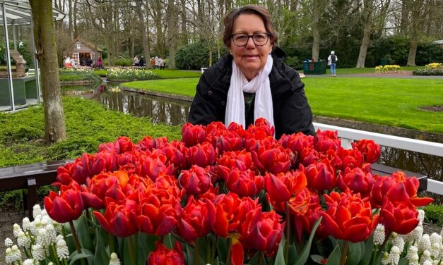 Tiptoeing Through Tulips on an AmaSerena Tulip Time Cruise in Belgium and the Netherlands