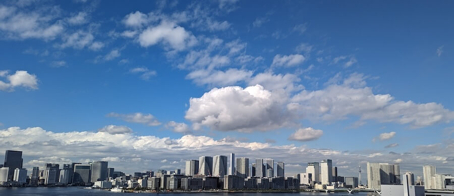 The Tokyo skyline.