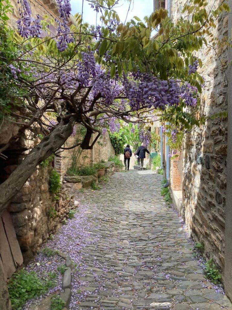 beautiful stroll down a cobbled alley in Minerve