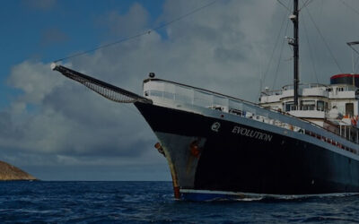 Quasar Evolution Galapagos Cruise Adventure READER REVIEW by Holly Quinn