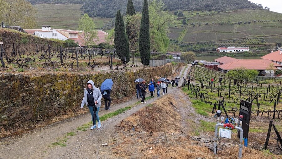 Avalon Alegria Douro River Cruise includes hikes and vineyard tours