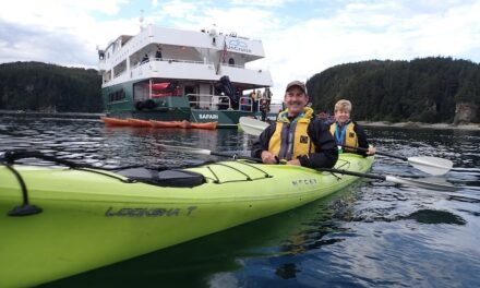 Consider a Prince William Sound UnCruise Adventure to Go Deep Into Wild Alaska