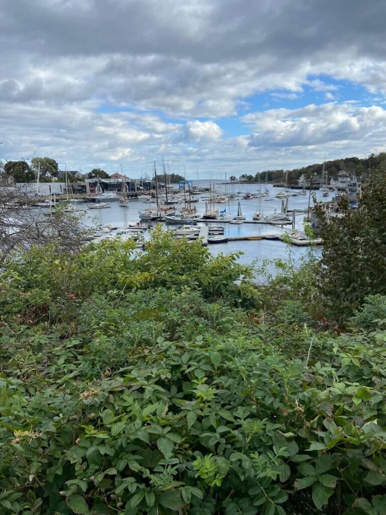 Camden Maine's pretty harbor.