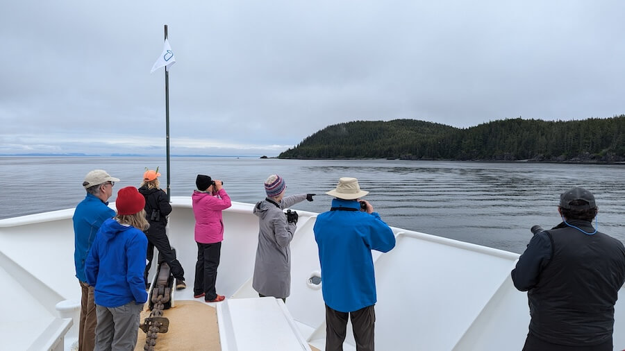 Prince William Sound Alaska Cruises are full of wildlife spotting opportunities