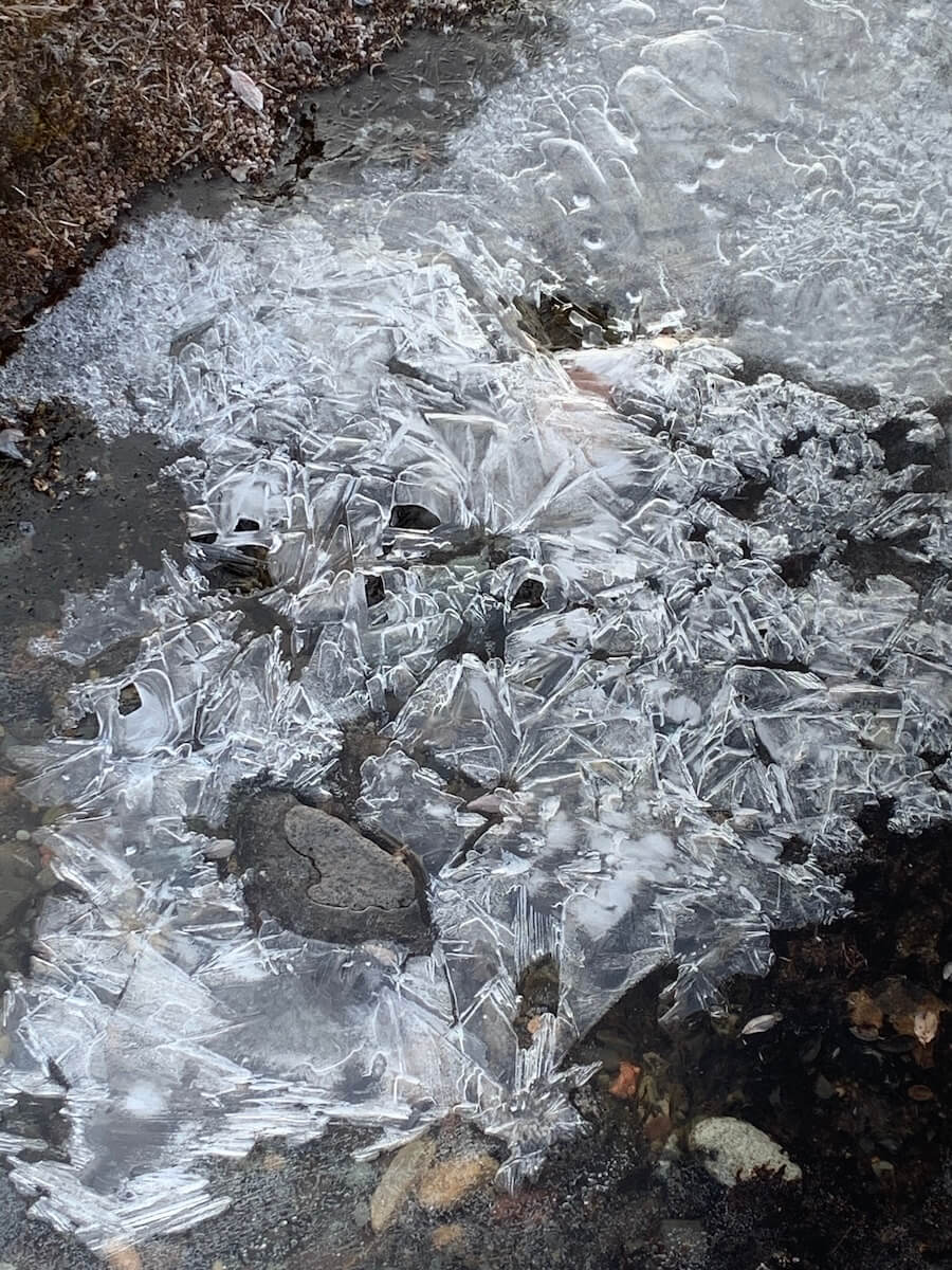 Ocean Albatros Cruises walking across ice patterns on shore